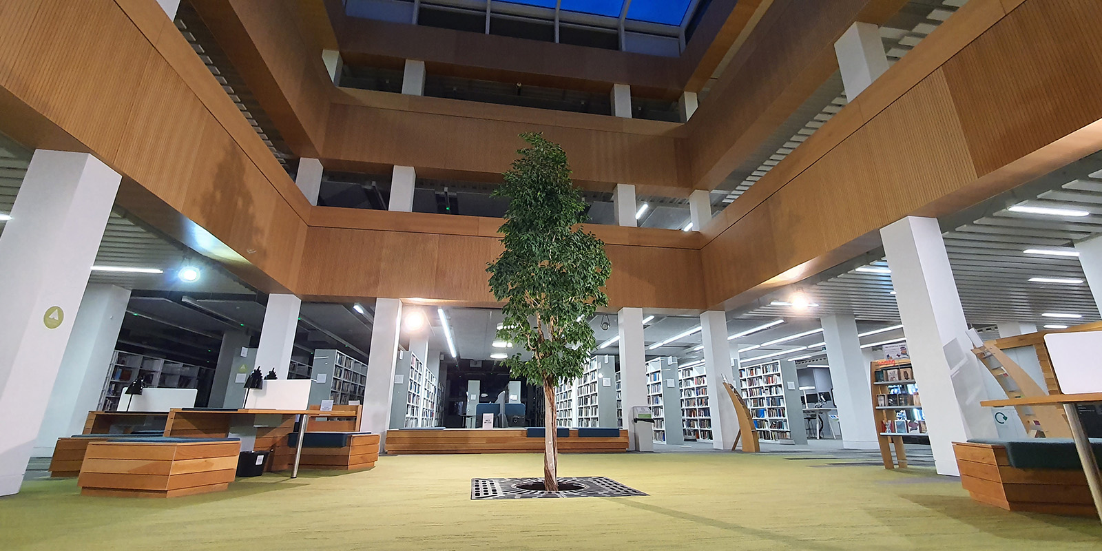 鶹Ƶ library foyer with the living tree in the centre.